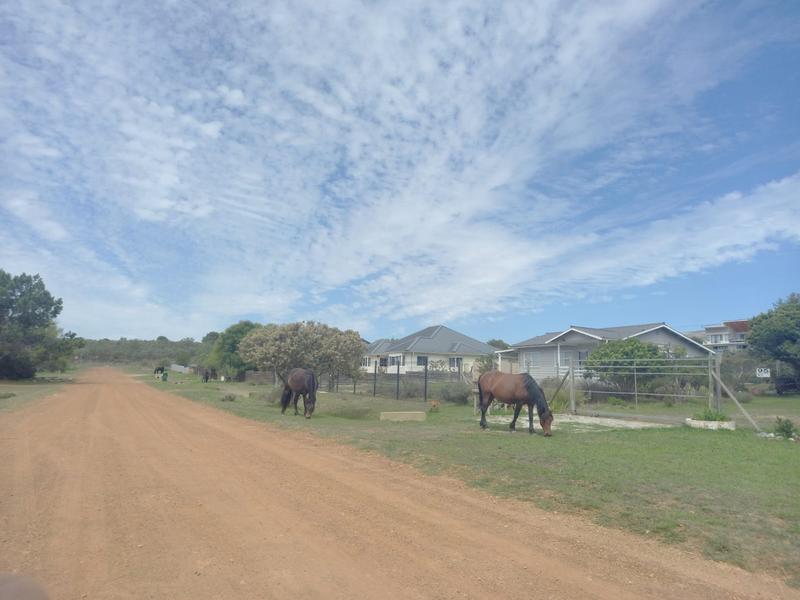 0 Bedroom Property for Sale in Fisherhaven Western Cape